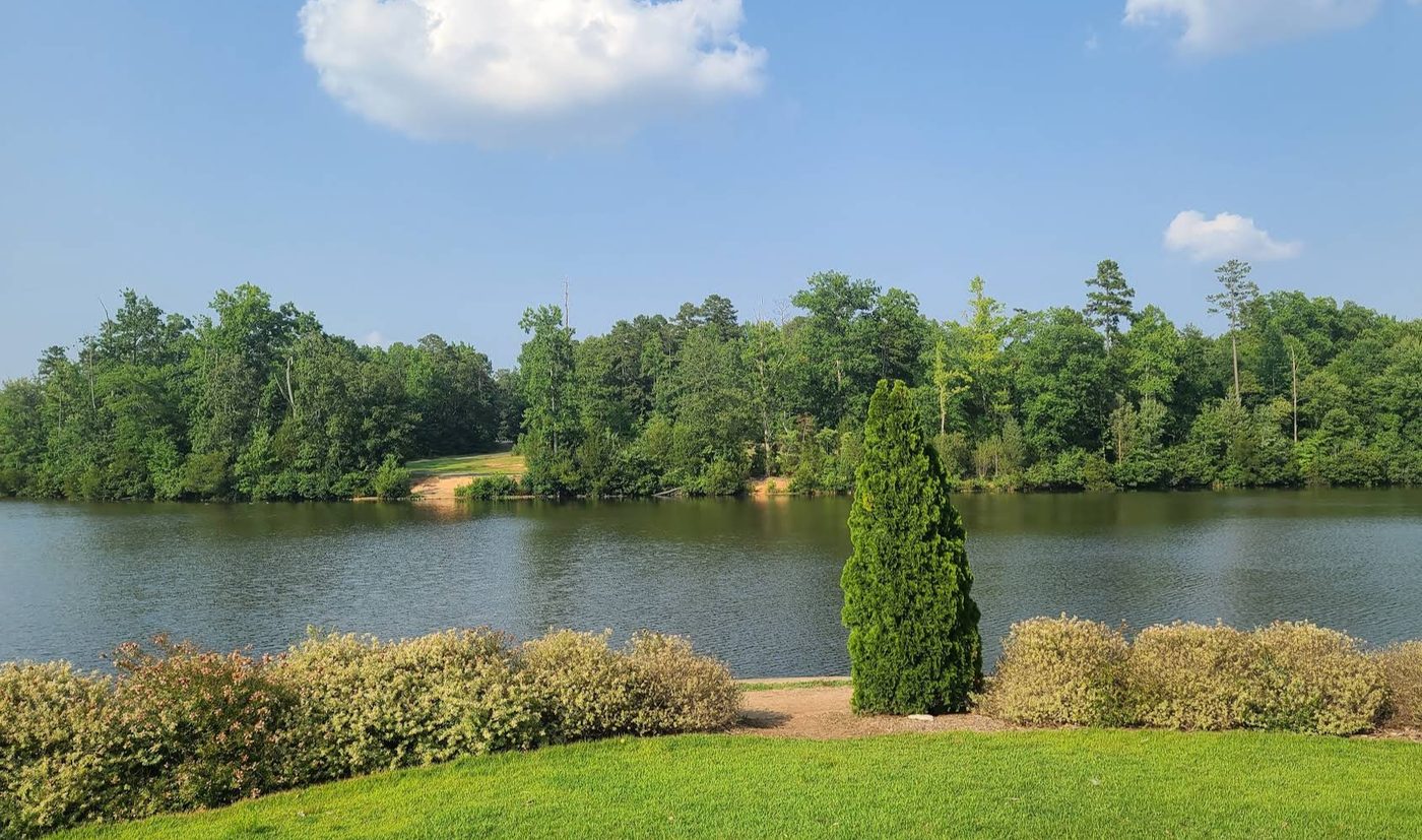 Wide view of a calm lake surrounded by green trees